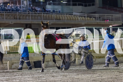 2026_PACEPIX_GP17072026_RACE9_MajorDisco_WIN_WEB-16