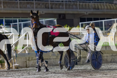 2026_PACEPIX_GP17072026_RACE9_MajorDisco_WIN_WEB-17
