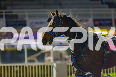 2026_PACEPIX_GP17072026_RACE9_MajorDisco_WIN_WEB-18
