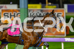 2026_PACEPIX_GP17072026_RACE9_MajorDisco_WIN_WEB-5
