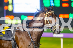 2025_PACEPIX_GP01082025_RACE9_MakeItQuick_WIN_WEB-5