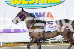 2025_PACEPIX_GP24102025_Race9_MaximumRock_WIN_WEB-12