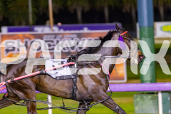 2025_PACEPIX_GP24102025_Race9_MaximumRock_WIN_WEB-4