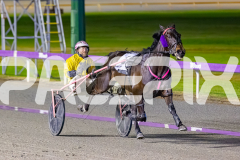 2025_PACEPIX_GP24102025_Race9_MaximumRock_WIN_WEB-7