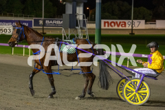 Me-Flash_26-06-2026_WIN_Gloucester-Park_9__10