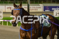 Me-Flash_26-06-2026_WIN_Gloucester-Park_9__11