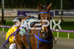 Me-Flash_26-06-2026_WIN_Gloucester-Park_9__12