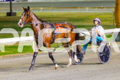 2026_PACEPIX_GP28022026_RACE9_MissLeopatra_WIN_WEB-10