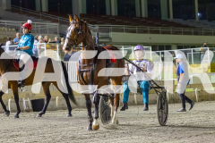 2026_PACEPIX_GP28022026_RACE9_MissLeopatra_WIN_WEB-14