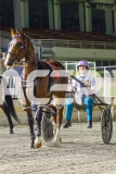 2026_PACEPIX_GP28022026_RACE9_MissLeopatra_WIN_WEB-15
