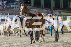 2026_PACEPIX_GP28022026_RACE9_MissLeopatra_WIN_WEB-16