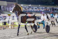 2026_PACEPIX_GP28022026_RACE9_MissLeopatra_WIN_WEB-17