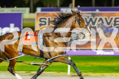 2026_PACEPIX_GP28022026_RACE9_MissLeopatra_WIN_WEB-3