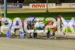 2026_PACEPIX_GP28022026_RACE9_MissLeopatra_WIN_WEB-6