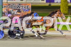 2026_PACEPIX_GP28022026_RACE9_MissLeopatra_WIN_WEB-8