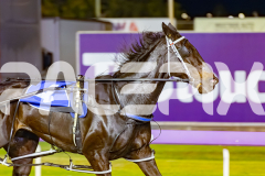 2025_PACEPIX_GP07112025_RACE9_MyCopy_WIN_WEB-4