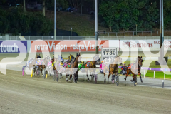 2025_PACEPIX_GP12122025_RACE9_MyWatchlist_WIN_WEB-1