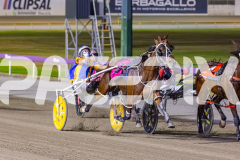 2025_PACEPIX_GP12122025_RACE9_MyWatchlist_WIN_WEB-7