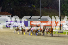 2025_PACEPIX_GP28102025_Race9_NorthernSoul_WIN_WEB-1