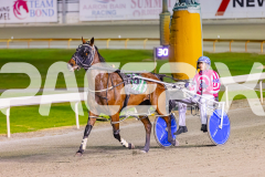 2025_PACEPIX_GP28102025_Race9_NorthernSoul_WIN_WEB-13