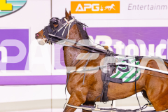 2025_PACEPIX_GP28102025_Race9_NorthernSoul_WIN_WEB-15