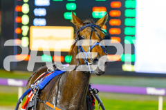 2025_PACEPIX_GP09052025_RACE9_OceanFront_WIN_WEB-7