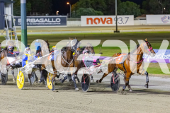 2025_PACEPIX_GP05122025_RACE9_OurVinnie_WIN_WEB-13