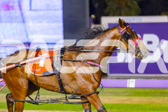 2025_PACEPIX_GP05122025_RACE9_OurVinnie_WIN_WEB-21