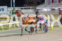 2025_PACEPIX_GP05122025_RACE9_OurVinnie_WIN_WEB-22