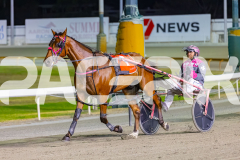 2025_PACEPIX_GP05122025_RACE9_OurVinnie_WIN_WEB-24
