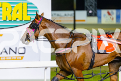 2025_PACEPIX_GP05122025_RACE9_OurVinnie_WIN_WEB-25