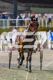 2025_PACEPIX_GP05122025_RACE9_OurVinnie_WIN_WEB-29