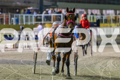 2025_PACEPIX_GP05122025_RACE9_OurVinnie_WIN_WEB-30
