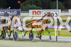 2025_PACEPIX_GP05122025_RACE9_OurVinnie_WIN_WEB-4