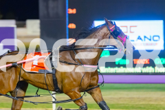 2025_PACEPIX_GP05122025_RACE9_OurVinnie_WIN_WEB-5