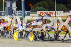 2025_PACEPIX_GP05122025_RACE9_OurVinnie_WIN_WEB-8