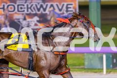 2025_PACEPIX_GP21112025_RACE9_Patriarch_WIN_WEB-10