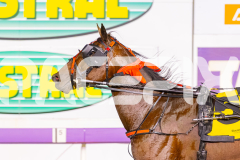 2025_PACEPIX_GP21112025_RACE9_Patriarch_WIN_WEB-12