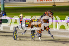 2025_PACEPIX_GP21112025_RACE9_Patriarch_WIN_WEB-4