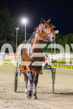 2025_PACEPIX_GP21112025_RACE9_Patriarch_WIN_WEB-50