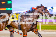 2025_PACEPIX_GP21112025_RACE9_Patriarch_WIN_WEB-9