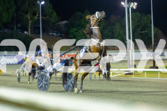 RACE 9 - Petes Honour