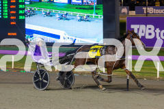 2025_PACEPIX_GP18062025_RACE9_PETES-HONOUR_WIN_WEB-5
