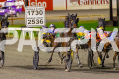 RACE 9 - Pinjarra Rocks