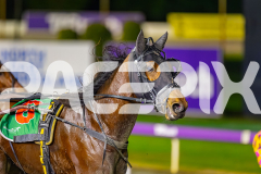 2025_PACEPIX_GP15072025_Race9_PinjarraRocks_WIN_WEB-11