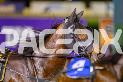 2025_PACEPIX_GP15072025_Race9_PinjarraRocks_WIN_WEB-12