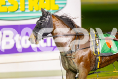 2025_PACEPIX_GP15072025_Race9_PinjarraRocks_WIN_WEB-15