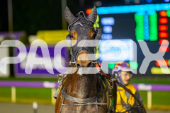 2025_PACEPIX_GP15072025_Race9_PinjarraRocks_WIN_WEB-18