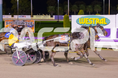 2025_PACEPIX_GP15072025_Race9_PinjarraRocks_WIN_WEB-8