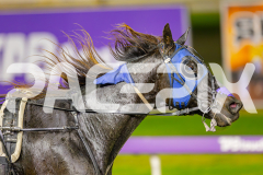 2025_PACEPIX_GP06052025_RACE9_Posseidon_WIN_WEB-17